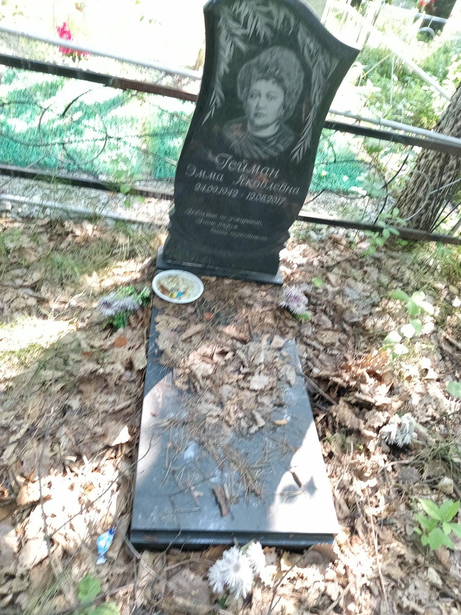 7566d087-9003-43ac-9899-3e44d4db4641 Гейман Эмма Яковлевна