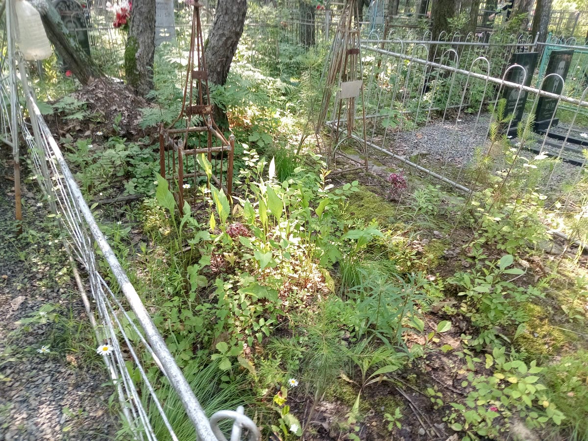 75841b30-f426-441b-a5d2-6a23f6b67cff Неизвестно Неизвестно Неизвестно