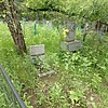 Преображенская Нина Владимировна