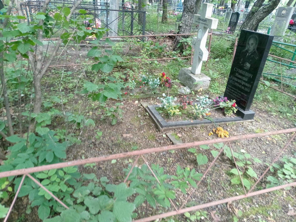 76964037-baa2-4b43-bec8-be1cfc37765b Сумневич Светлана Дмитриевна