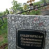 Подгорная Валентина Пимановна