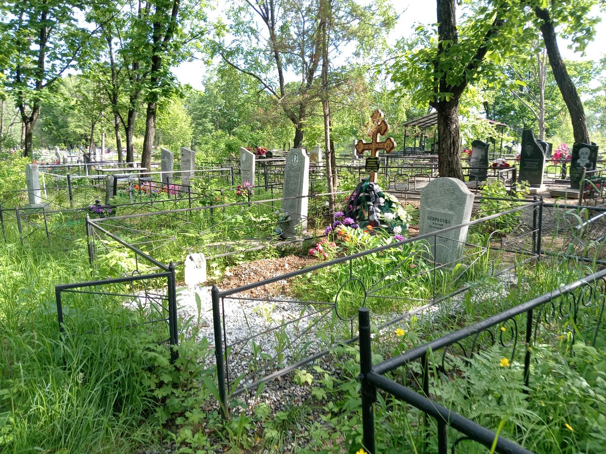 77356447-4ba7-49dc-89d3-911e63939ce6 Некрасова Ксения Тимофеевна