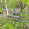 Островский Владимир Александрович