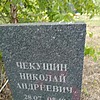 Чекушин Николай Андреевич
