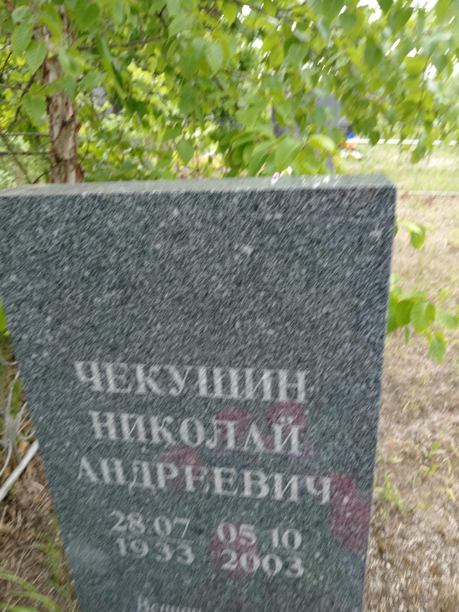 Чекушин Николай Андреевич