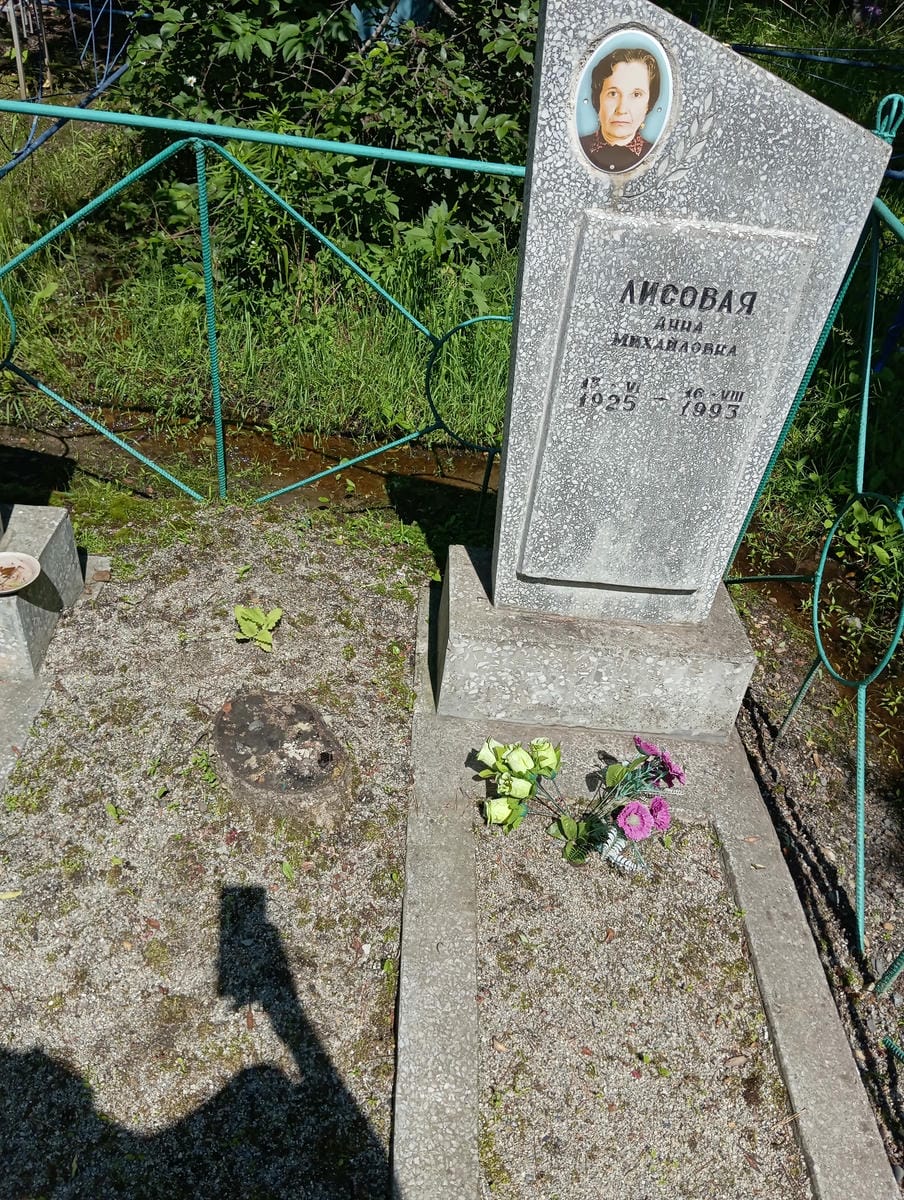 77b2fa4c-6608-459b-b179-7da196a484c6 Лисовая Анна Михайловна