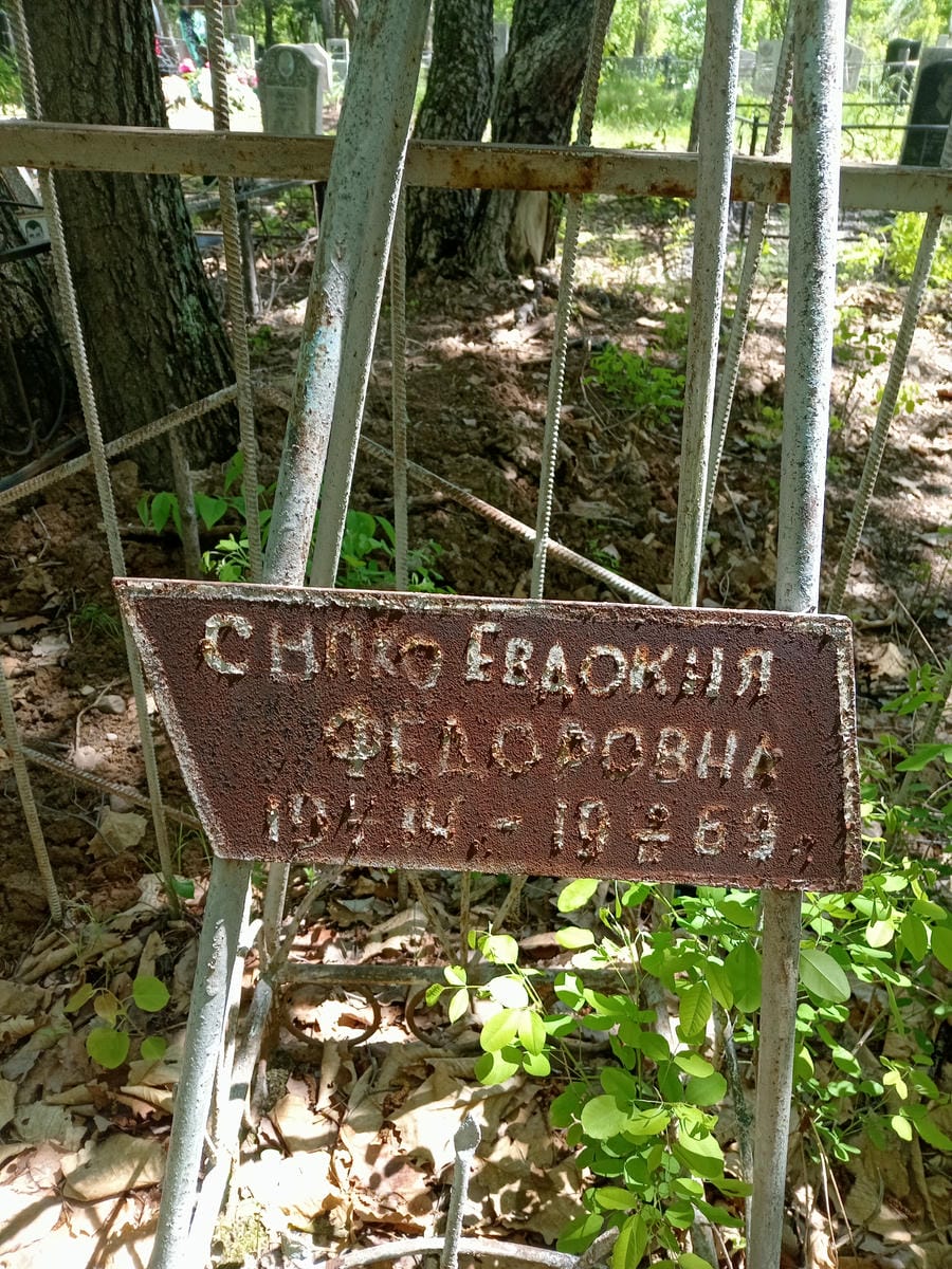 783df9e8-ab6e-4d44-8f23-044e54bf5277 Сноко Евдокия Фёдоровна