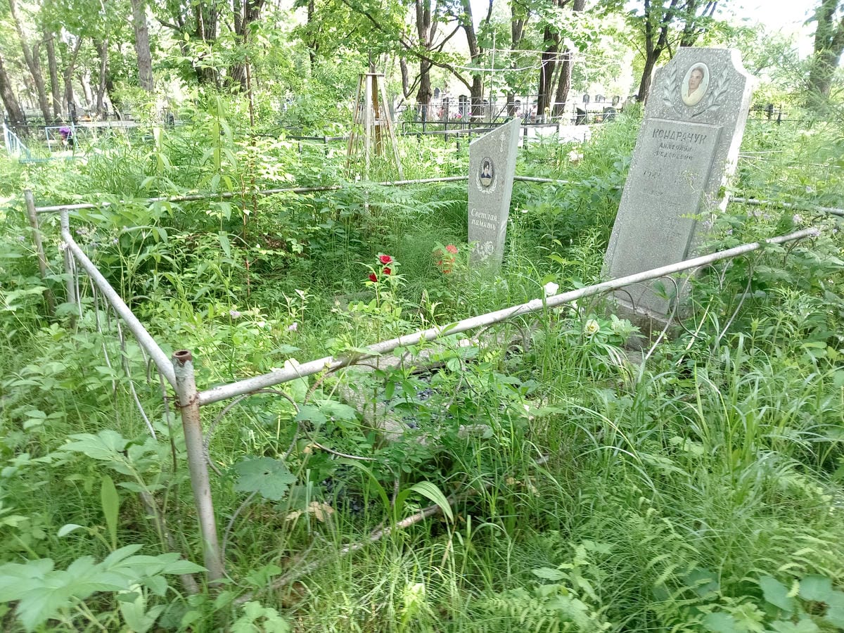 79109f83-8aab-43b4-97f6-ef40b3fbee6c Дьячок Мария Павловна
