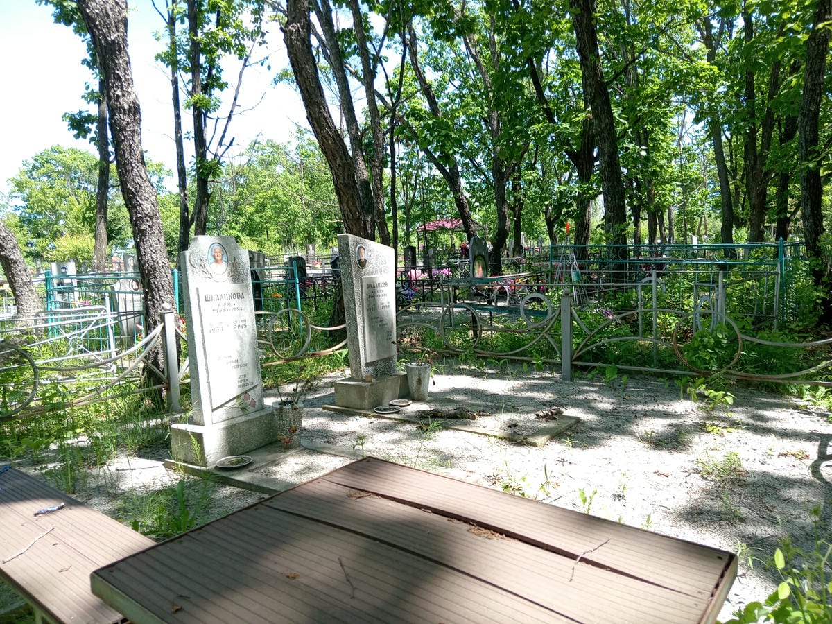 791d687d-3133-4485-829b-2984f154b991 Шкаликов Алексей Григорьевич