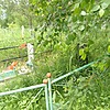 Кургак Наталья Михайловна