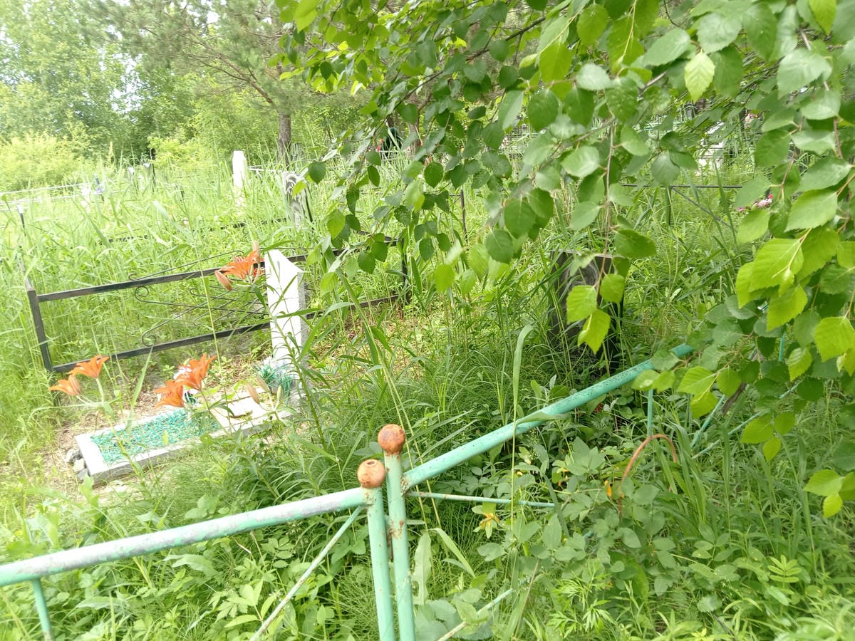 798500b0-75d8-4a2f-9af0-75210978f5a8 Кургак Наталья Михайловна