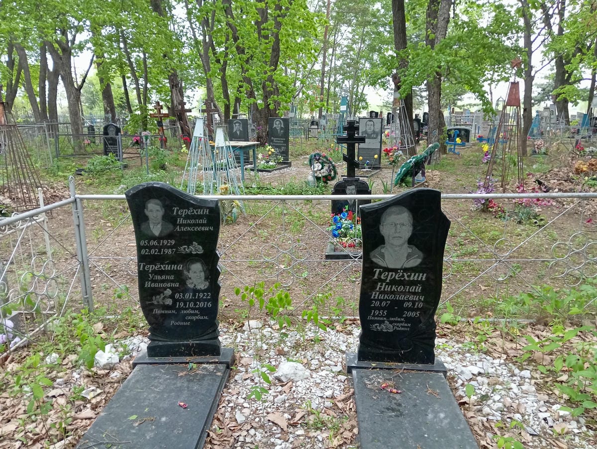79a1df2d-3bc7-4c53-b6a1-e896b457c67e Терехин Николай Николаевич