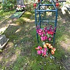 Городников Дмитрий Николаевич