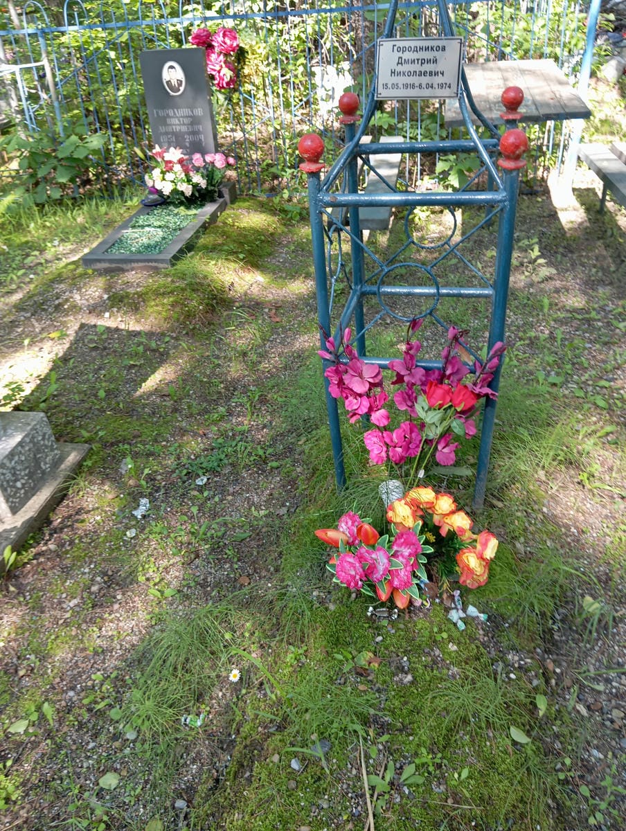 Городников Дмитрий Николаевич