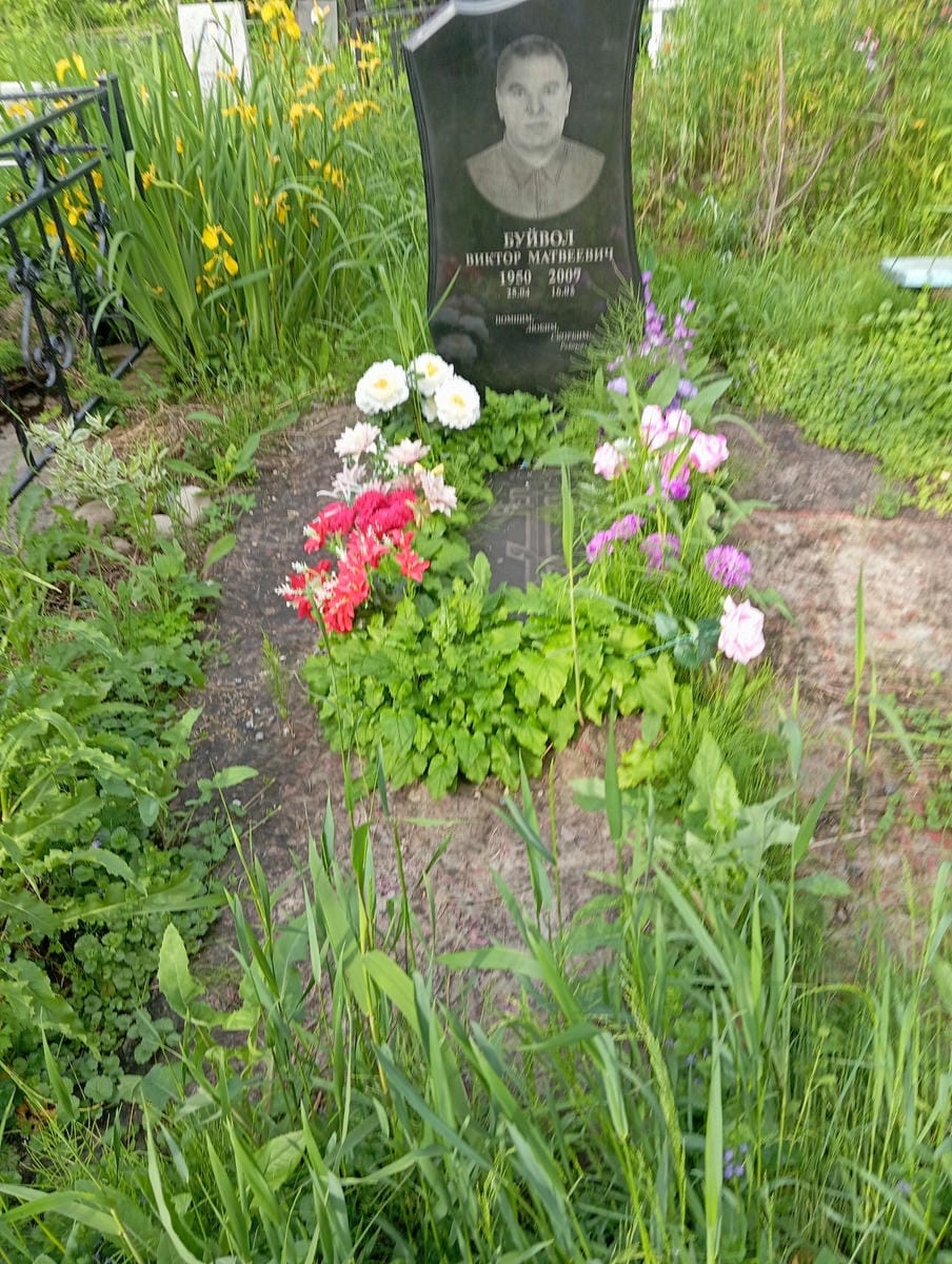 Буйвол Виктор Матвеевич