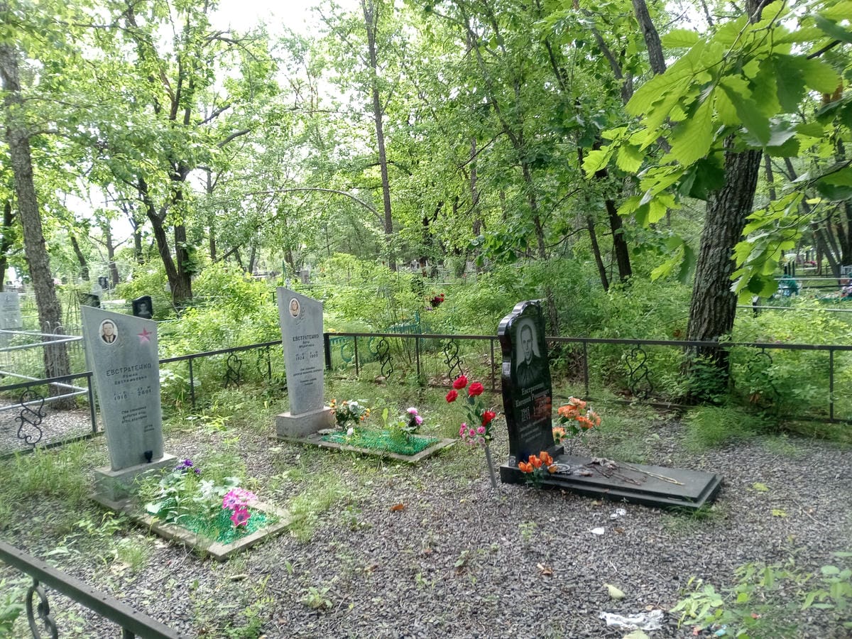 7ae4f2e6-2641-401a-8932-678cab1e55c2 Евстратенко Вера Федоровна
