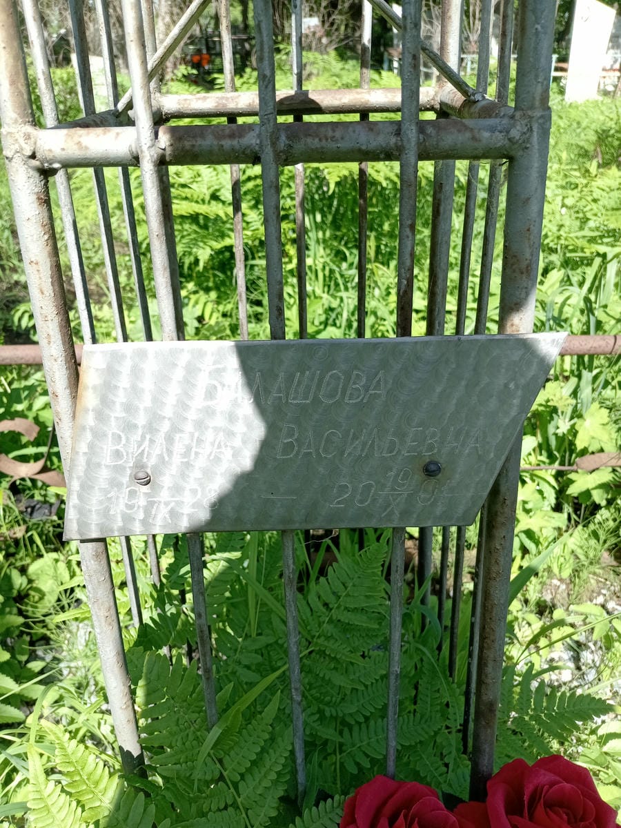 Балашова Вилена Васильевна