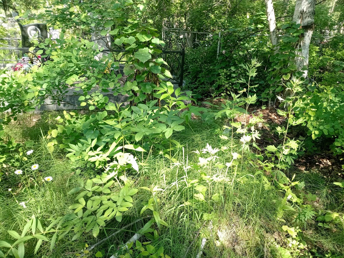 7b166f00-cb6f-4617-8997-b498a0dcc051 Неизвестно Неизвестно Неизвестно