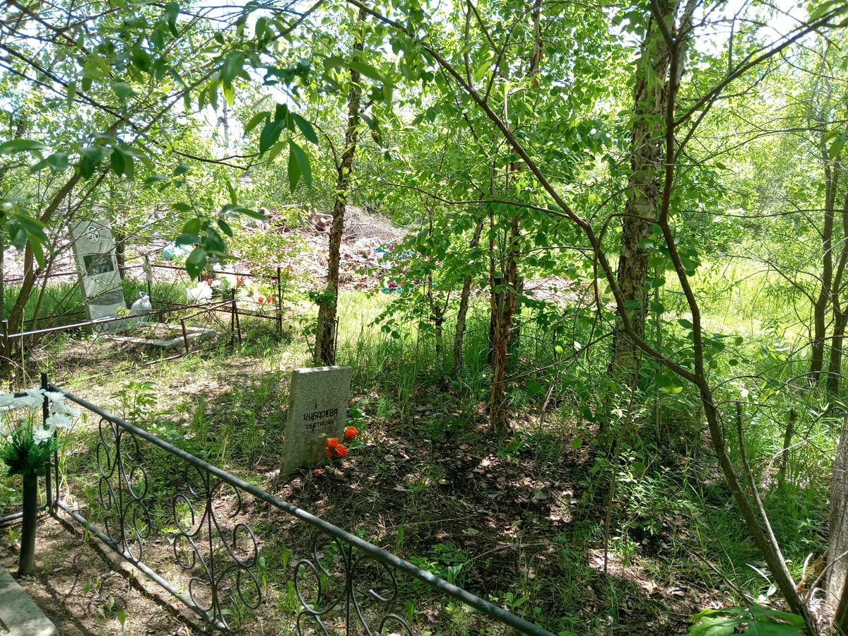 Кубарева Светлана Неизвестно