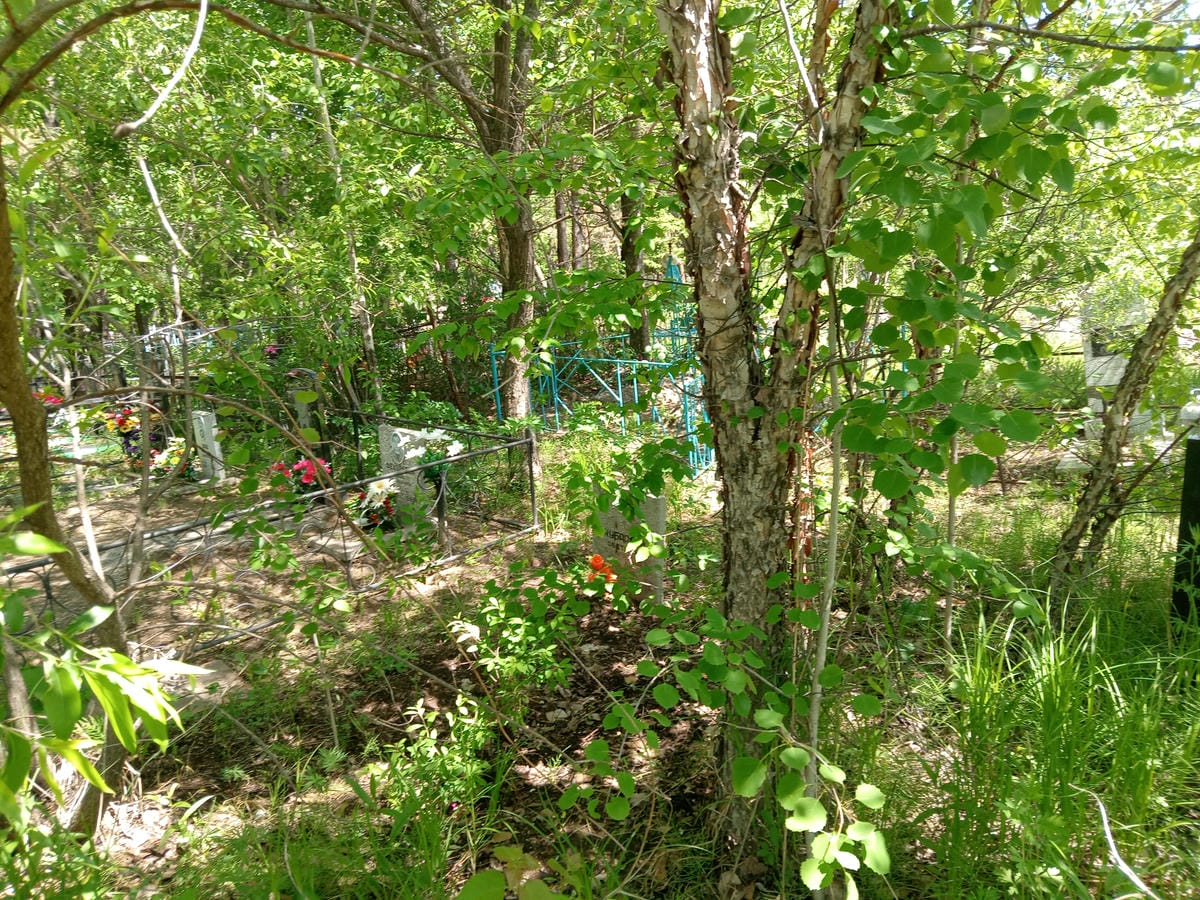 Кубарева Светлана Неизвестно