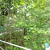 Кан Сергей Неизвестно