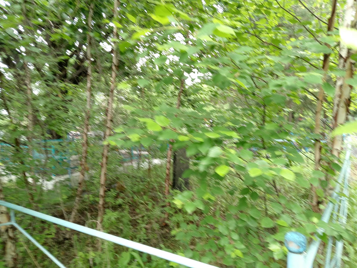7bc7ae2a-475e-4c45-9137-b7639683a2df Кан Сергей Неизвестно