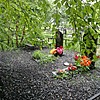 Беляев Дмитрий Анатольевич