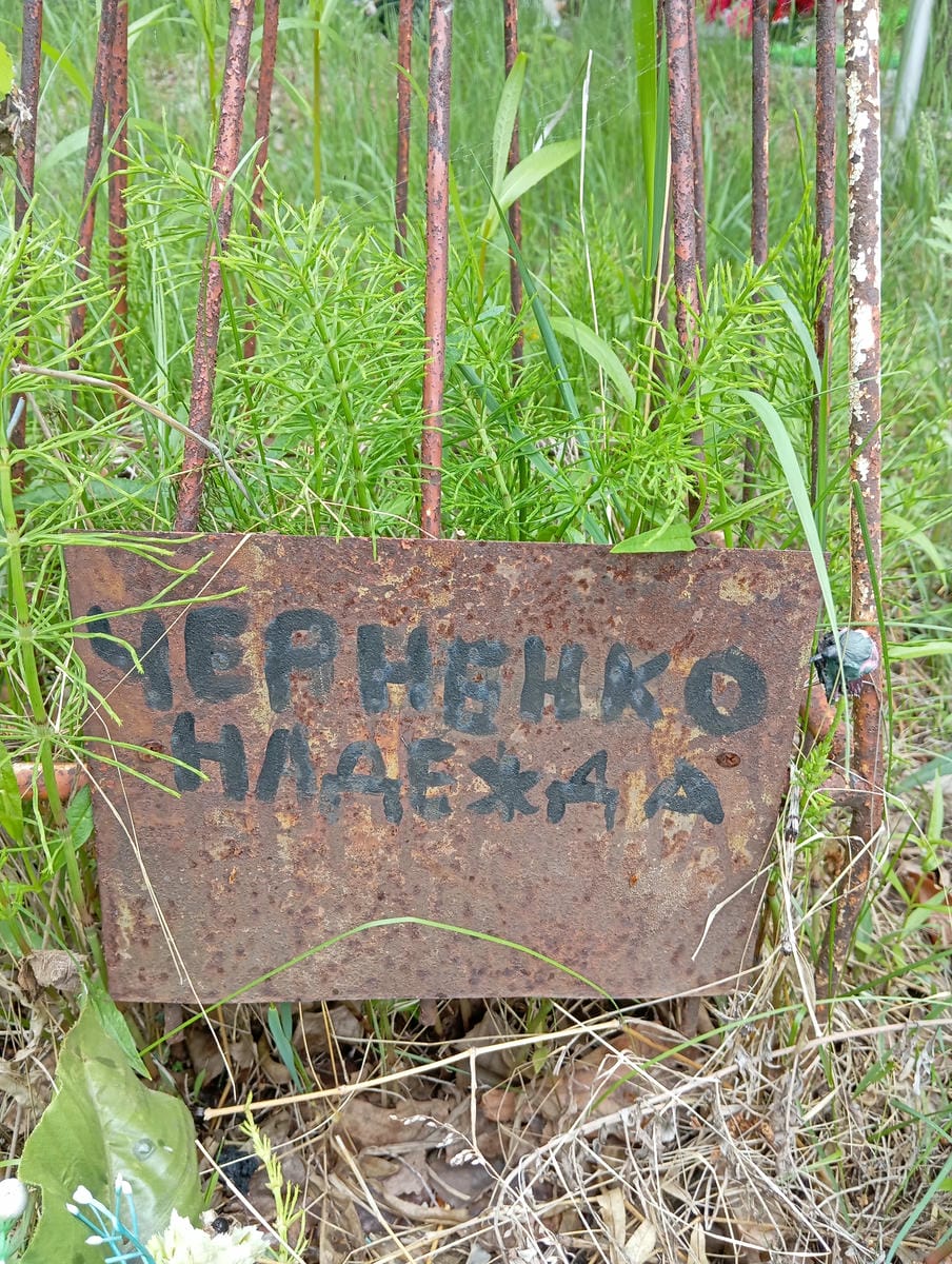 Черненко Надежда Неизвестно