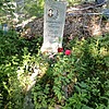 Гришачкина Алиса Михайловна