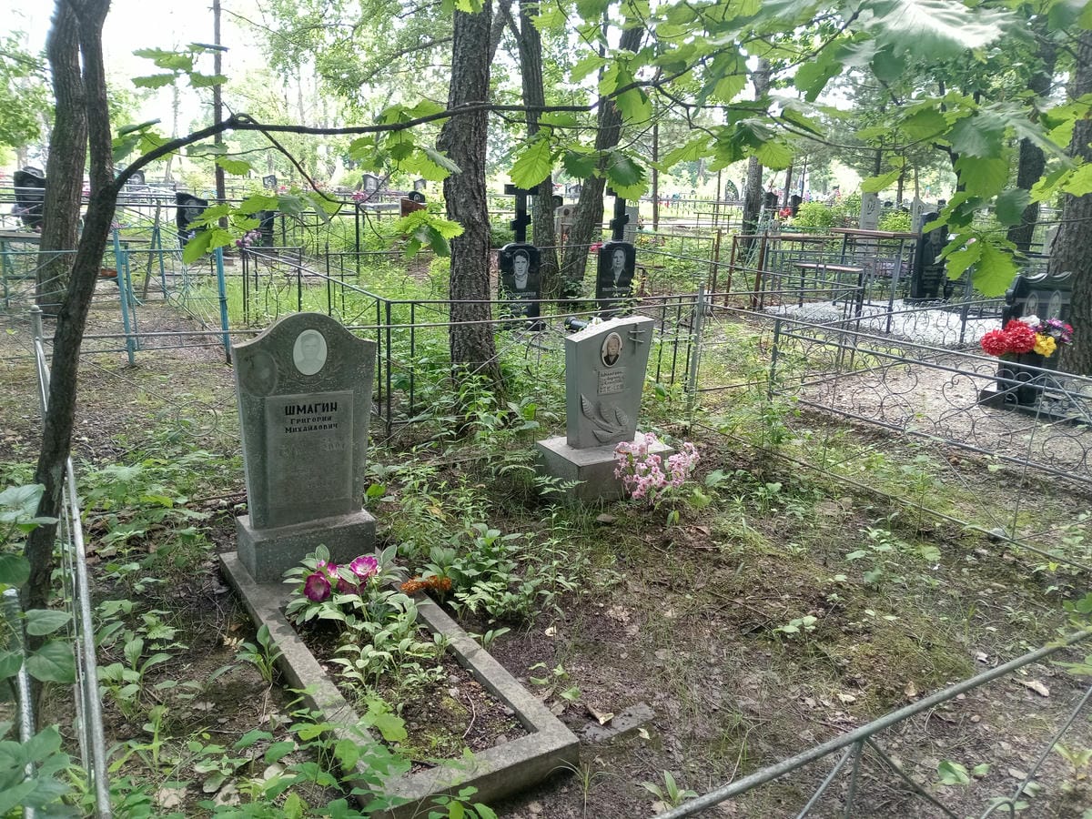 7c7f0c91-8223-4e46-a40a-0e9745a36ca9 Шмагин Григорий Михайлович