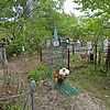 Сечко Николай Павлович