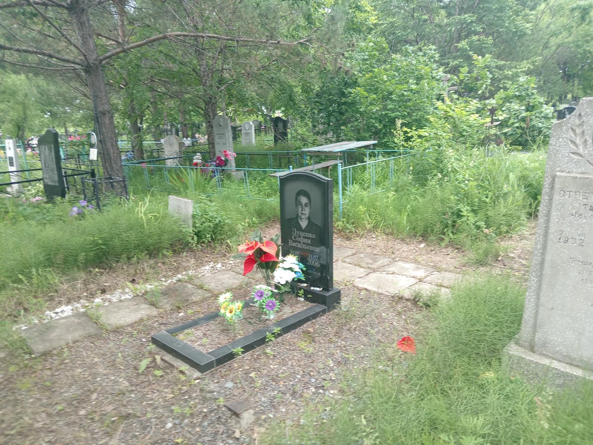 7d36ceb3-0457-4698-8b85-ea131c7ba6b0 Луценко София Васильевна