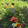 Каторжных Ирина Алексеевна