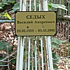 Седых Василий Андреевич