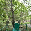 Зиновьев Александр Витальевич