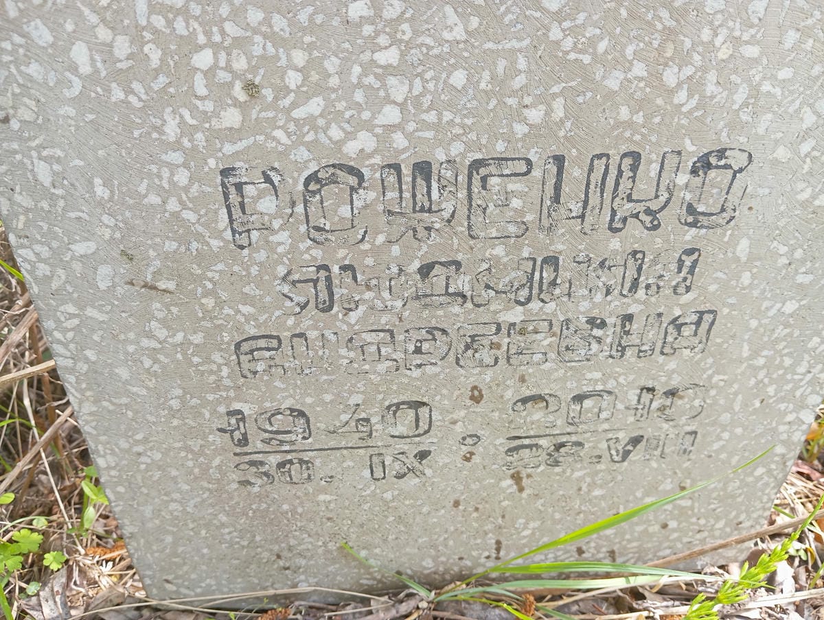 7ed1acf8-d766-4ac8-8441-b516dc56e87b Роженко Людмила Андреевна