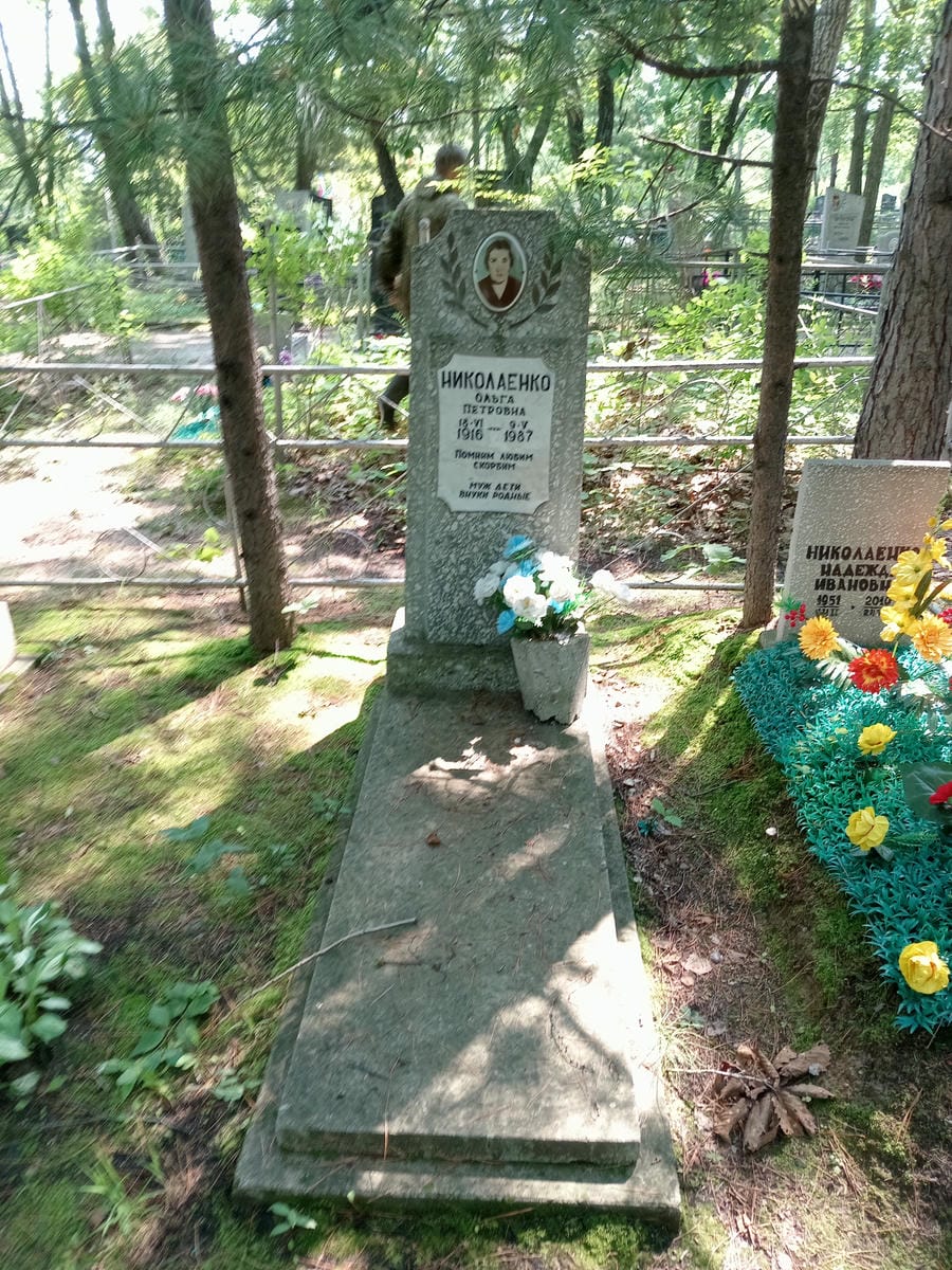 7f0a5f93-95d3-4fc4-a78f-7fd1a870d046 Николаенко Ольга Петровна