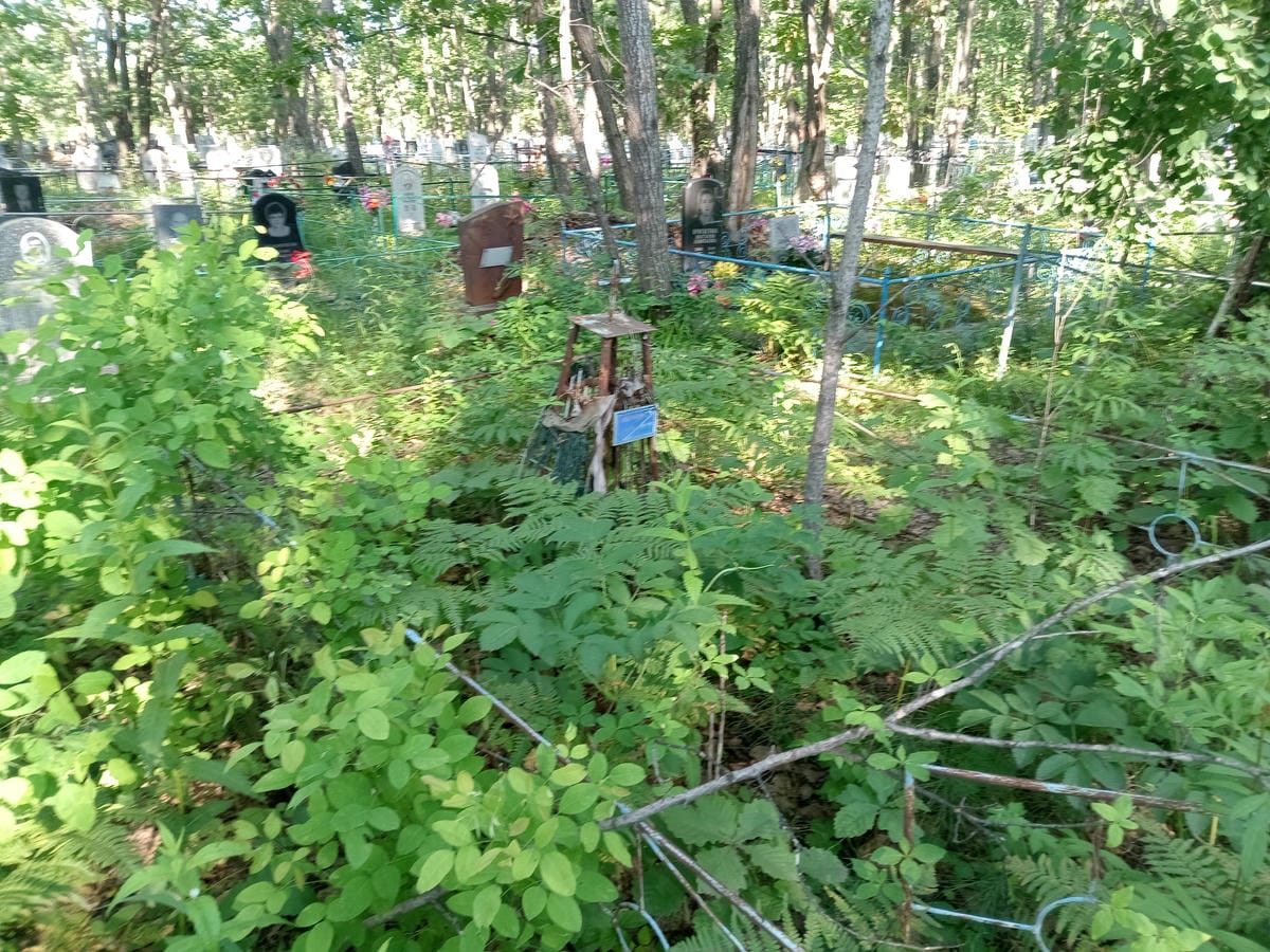 7f5ed5e5-aed9-4472-8c7a-6c26cefdfc36 Бабочкина Л Д