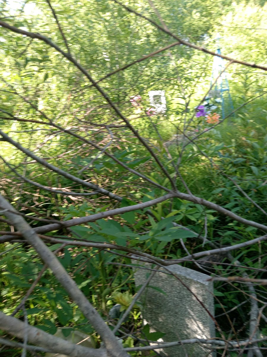 Неизвестно Неизвестно Неизвестно