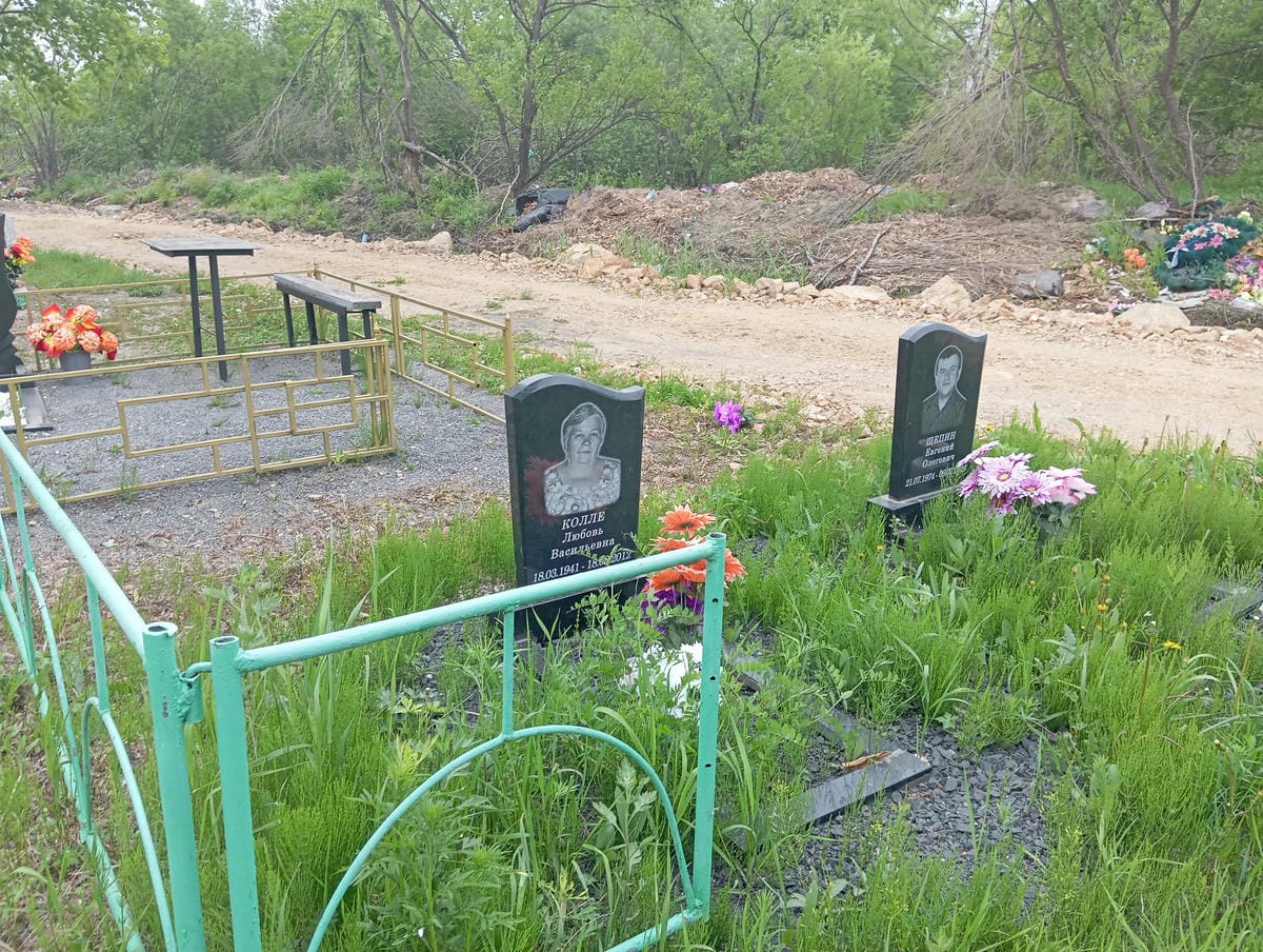 Колле Любовь Васильевна