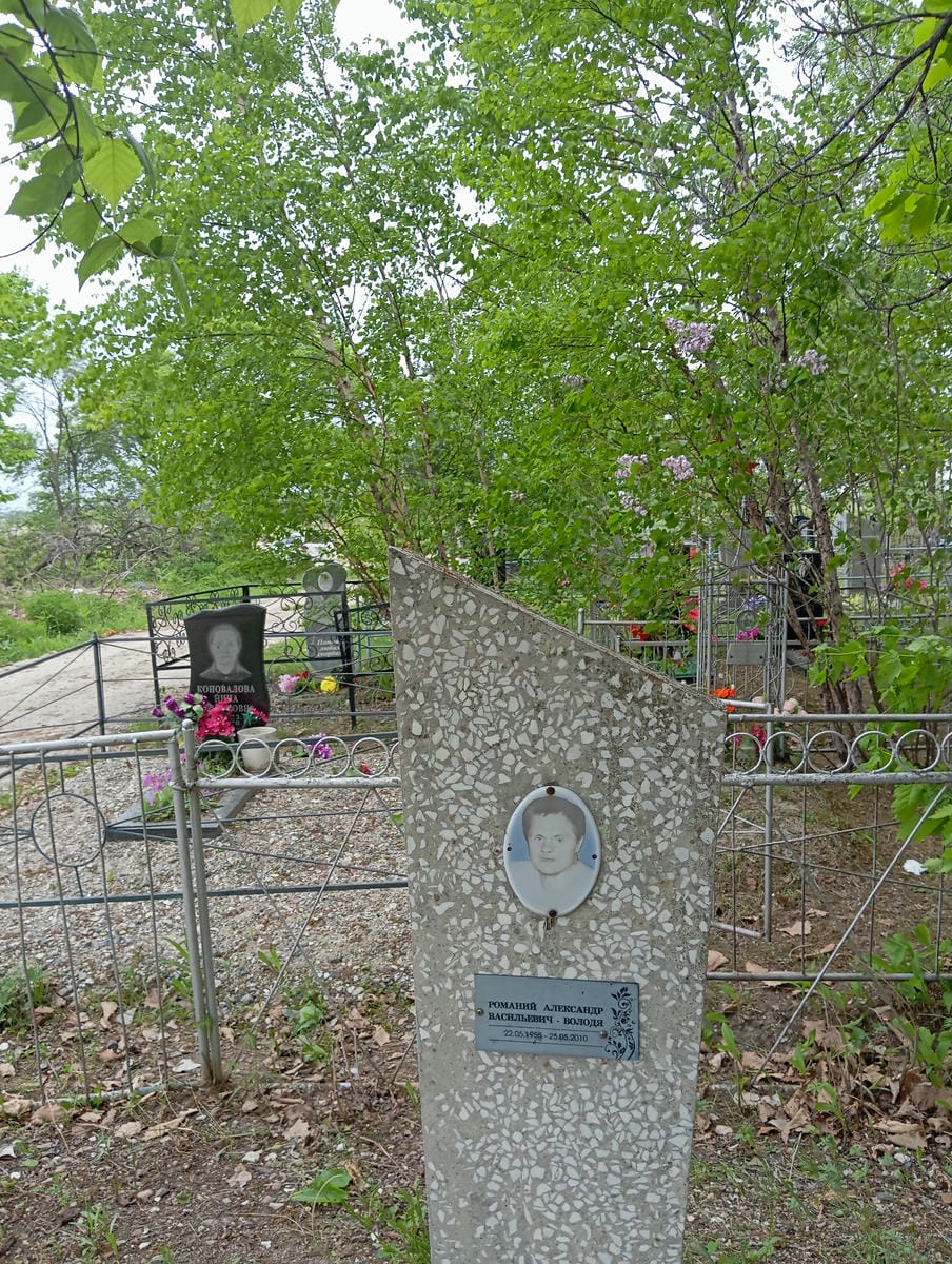 81ad1e32-86d8-4c75-b3cd-21659030c2e3 Романий Александр Васильевич