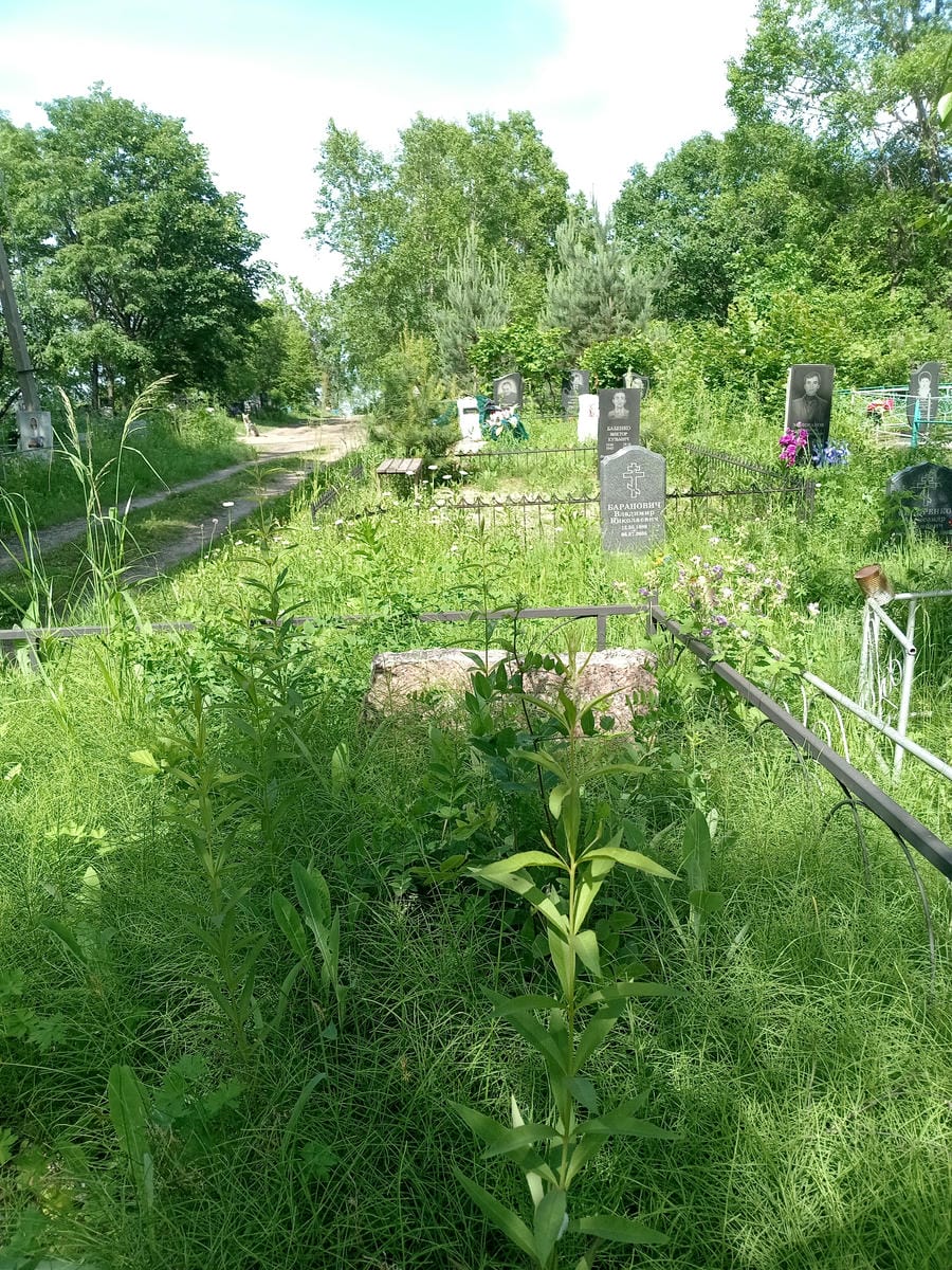 Самородский Викентий Владимирович