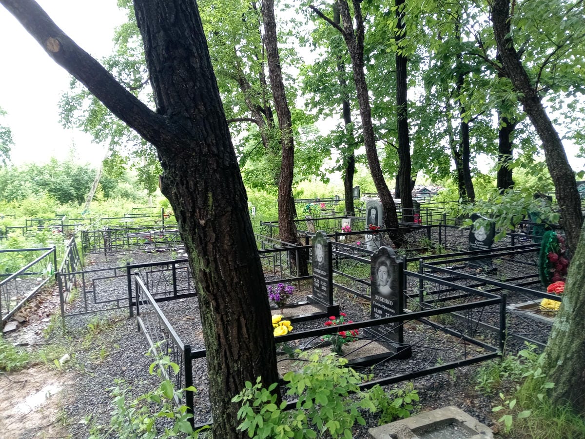 8229ec71-cde4-4a71-8539-69c2c98eb8c3 Зубенко Галина Ефимовна