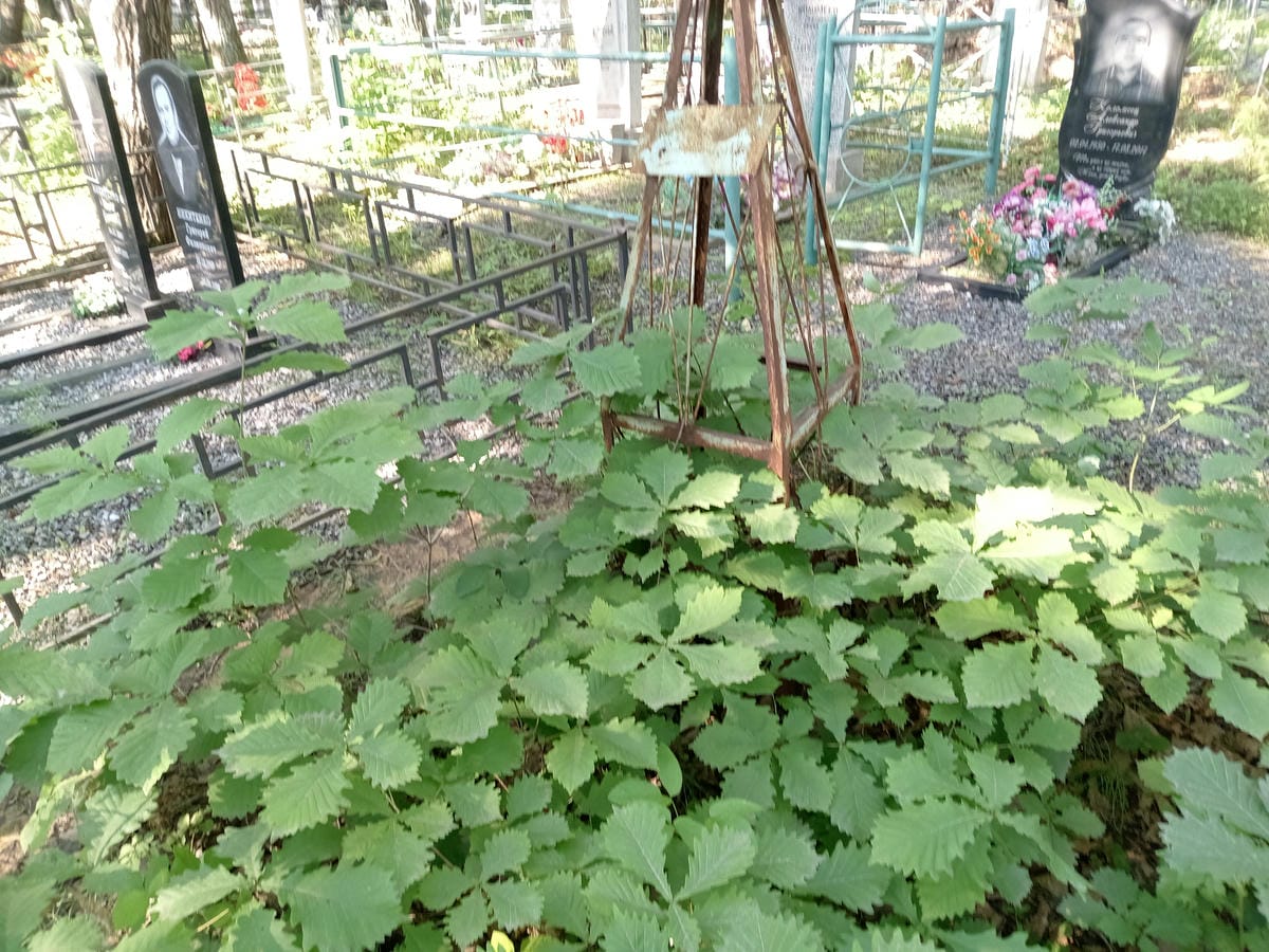 Неизвестно Неизвестно Неизвестно