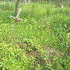 826b0845-9b80-4993-b448-eb6c952ee83d Кондратьев Неизвестно Неизвестно