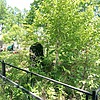 Тен Светлана Алексеевна