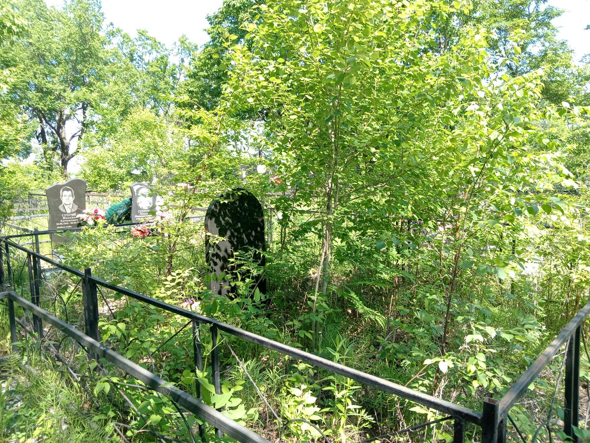 8314c16d-a28b-423d-8b82-97627b524864 Тен Светлана Алексеевна