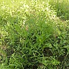 833bccc4-21f2-4337-946c-14f8943be598 Неизвестно Неизвестно Неизвестно