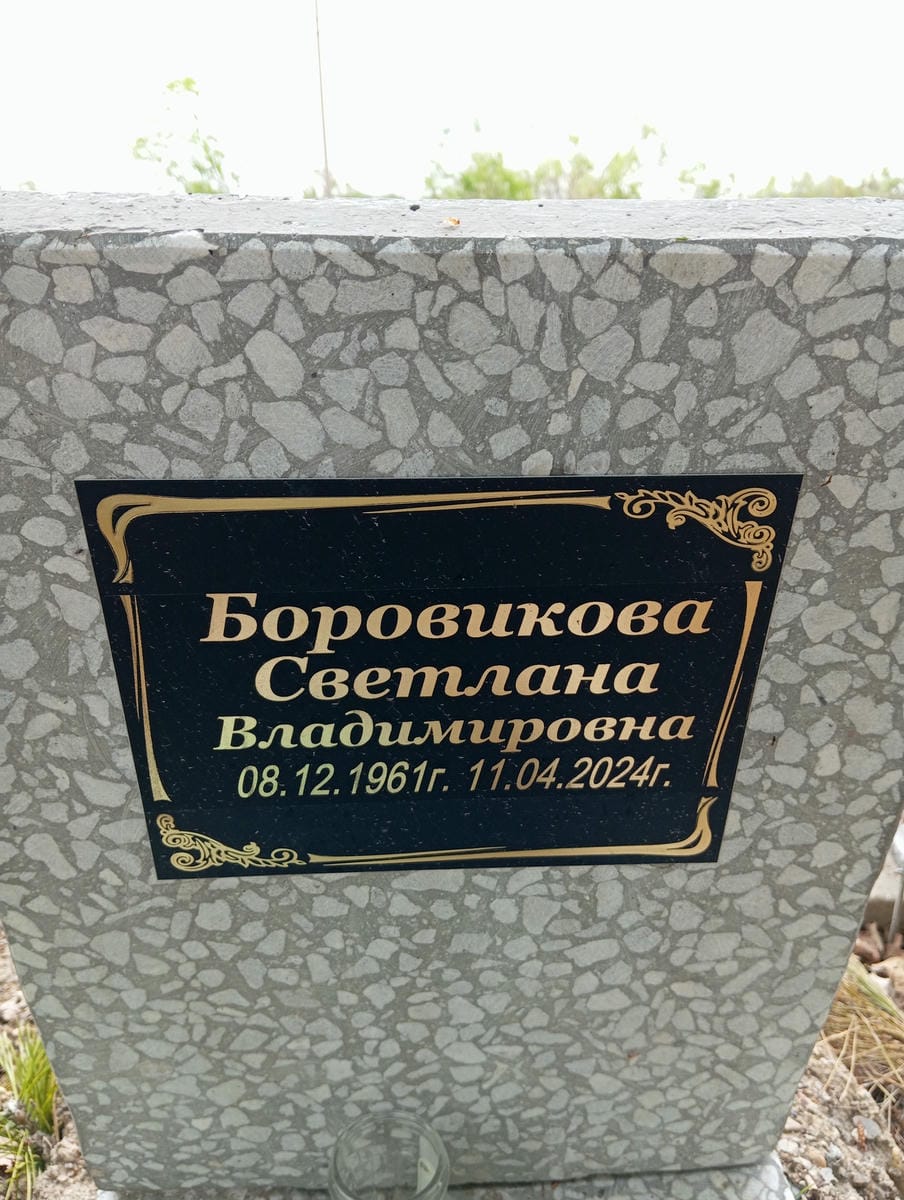 Боровикова Светлана Владимировна