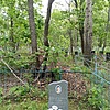 Гринцевич Юрий Михайлович